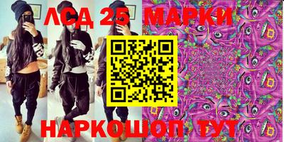 гидра Новозыбков