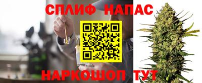индика Новокубанск