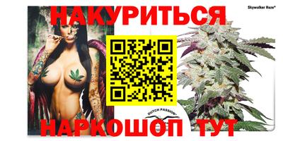 индика Новокубанск