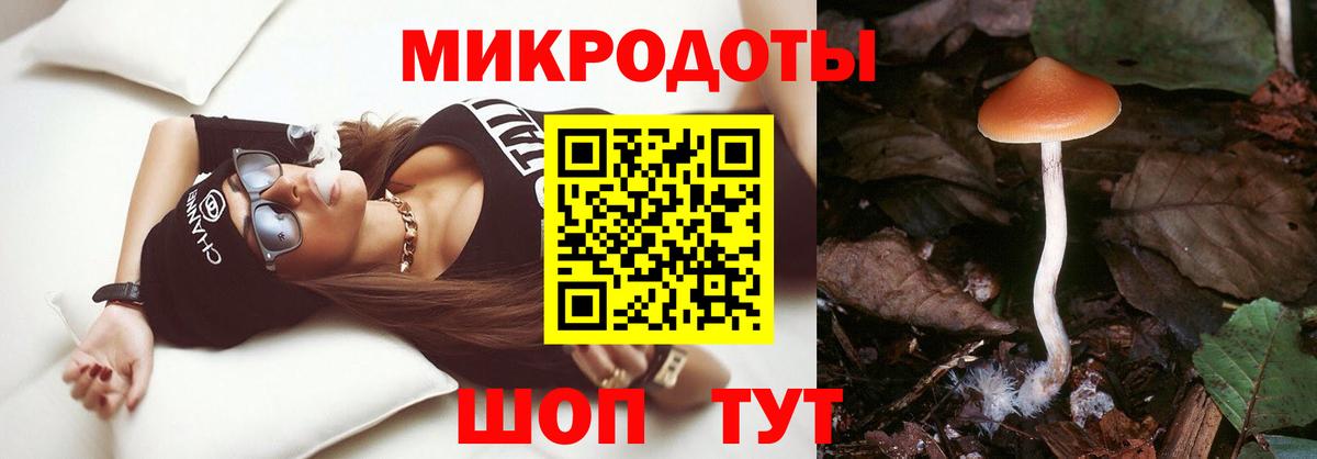 Алексеевка  Галлюциногенные грибы Psilocybine cubensis  где найти   Вход с VPN 